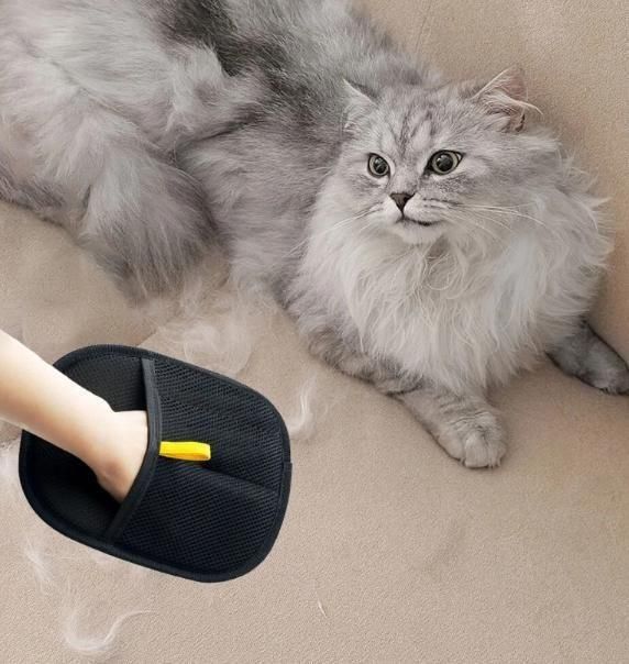 FurSwipe Glove 🐾✨ – Quick ⚡ Gentle 💖 Clean 🧼